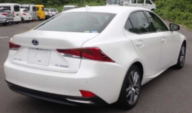 LEXUS IS 2019 中古