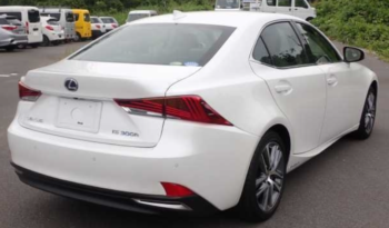 レクサス LEXUS IS 2019 中古