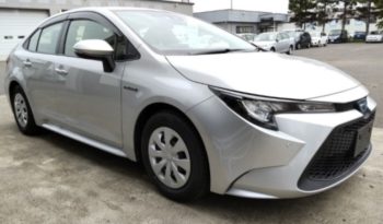 TOYOTA COROLLA 2019 中古