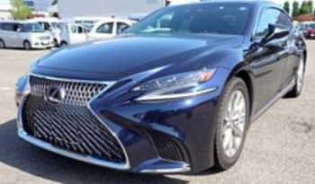 LEXUS LS 2019 中古