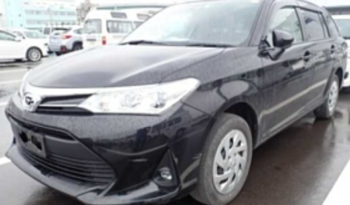 TOYOTA COROLLA FIELDER 2019 中古