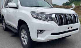 トヨタ ランドクルーザー プラド　TOYOTA LAND CRUISER PRADO 2019 中古