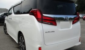 TOYOTA ALPHARD 2019 中古