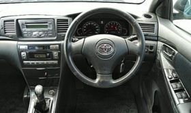 トヨタ カローラ ランクス TOYOTA COROLLA RUNX 2005 中古
