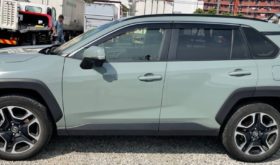 TOYOTA RAV4 2019 中古