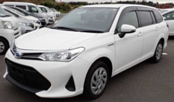 TOYOTA COROLLA FIELDER 2019 中古