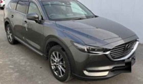MAZDA CX-8 2019 中古