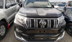トヨタ ランドクルーザー プラド TOYOTA LAND CRUISER PRADO 2019 中古