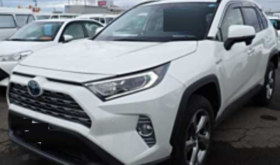 トヨタRAV4 TOYOTA RAV4 2019 中古