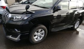 トヨタ ランドクルーザー プラド TOYOTA LAND CRUISER PRADO 2019 中古