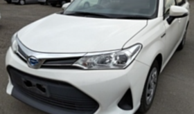 トヨタ カローラ フィールダー TOYOTA COROLLA FIELDER 2019 中古