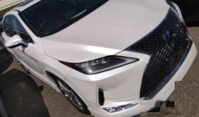 レクサス LEXUS RX 2020 中古