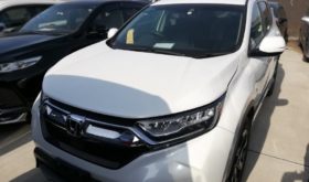 ホンダ CR-V HONDA CR-V 2019 中古