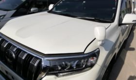 トヨタ ランドクルーザー プラド TOYOTA LAND CRUISER PRADO 2019 中古