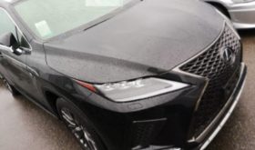 レクサス RX LEXUS RX 2019 中古