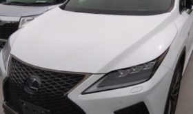 レクサス LEXUS RX300 2018 中古