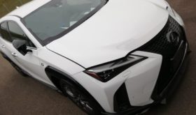 レクサス LEXUS UX 2019 中古
