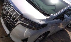 トヨタ アルファード TOYOTA ALPHARD 2019 中古