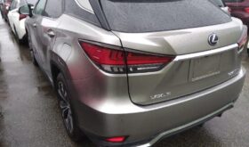 レクサスRX LEXUS RX 2019 中古