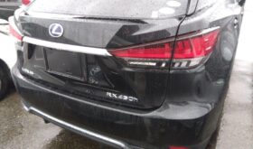 レクサスRX LEXUS RX 2019 中古