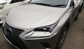 レクサスNX LEXUS NX 2018 中古