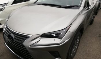 レクサスNX LEXUS NX 2018 中古