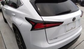 レクサスNX LEXUS NX 2020 中古