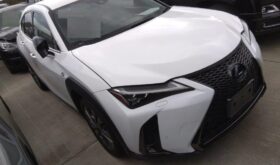 レクサスUX LEXUS UX 2019 中古
