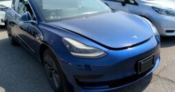 テスラ モデル3 TESLA MODEL 3 2019 中古